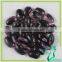 Chinese Black Purple Speckled Kidney Beans