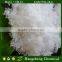 magnesium chloride crystals MgCl2.6H2O