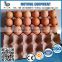 Molded paper eggs packaging cartons tray for sale
