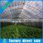 Plastic high quality agriculture anti insect net greenhouse  china
