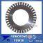 High Voltage Electric Motor Rotor sheet