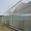 Single Layer Poly Film Greenhouse