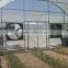 Agricultural greenhouse film greenhouse with exhaust fans