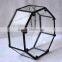 Micro indoor deocr landscape vase indoor plant glass terrarium
