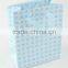 Shopping Paper Bag Foaming Process/Foldable Gift Bag