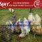 galvanised hexagonal wire mesh for chicken