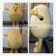 HI CE Plush potato mascot costume vegetable costume for sale