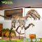 Resin Real Size Dinosaur Fossil
