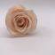 Preserved flowers Wedding bridal bouquets natural eternal  roses