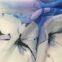 Professional Fashionable Custom Digital Print  Spun Rayon Fabric