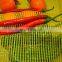 fruit mesh net bag for orange packing