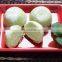 Full Automatic High Speed Japanese  Daifuku Mochi Ice Cream Making Machine