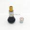 Auto Parts Natural Rubber Tubeless Snap In Tire Valve TR413C With Customized Logo Cap