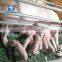 plastic slats, slatted flooring Animal husbandry farm equipment for swine, pig flooring