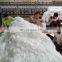 Junchi 100% virgin pp extruded raw white pp concrete fiber