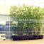 Decorative Artificial Green Bamboo,artificial Bonsai,artificial Bamboo Bonsai,artificial Plants on Sale