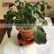 Plastic Plant Flower Pot Mover Roller and Flower Pot Tray with wheels