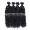 WJ007Afro kinky curl human hair lace frontal piece free sample hair bundles