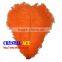 Real Natural Ostrich Feathers for Canival, Festival Decorative Feathers Wholesale