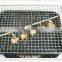 Bbq Wire Net
