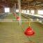 Easy Management Broiler Ground Raising