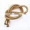 Double Lock Stainless Steel Shower Hose with Brass Nut in Gold Color, X18272F