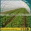 Guangzhou Vegetable Anti-insect Mesh/ Greenhouse Nylon Net/ Plastic Mesh