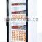 Vertical Glass Door Deep Freezer for ice Cream