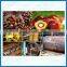 Palm fresh bunch press production line machine,Palm oil mill plant,FFB production line equipment