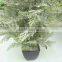Plants Artificial Trees, High Quality Reasonable Indoor Plastic Plants Artificial