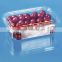 marketing blister plastic clear fruit packaging box