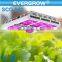 Saga series Wholesale Programmable hydroponic led grow light