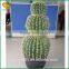 Plastic Cactus Bonsai Home Decor Artificial Cactus Bonsai