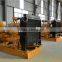 1000kVA/800kW Chinese Engine Natural Gas Generator for Sale, International Standard Big Power Plant