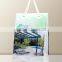 promotional plastic bag &plastic promotion bag&plastic handle promotional shopping bag