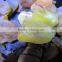 Wholesale Natural Precious Raw Amber Stones for Sale