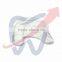 Lipshelf Standard Clear Teeth Whitening Tray