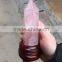 Wholesale nature rose crystal point/wand for home decoration