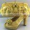Charming ladies shoes and matching bag for party