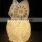 LED colorchanging owl holiday light