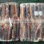 Good Fresh Illex Squid