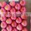 paper bagged QinGuan Apple