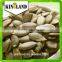 Hot sales shine skin pumpkin kernel from Golden supplier
