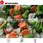 Good price frozen baby oyster mushroom 2016 with Grade A