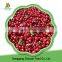 Chinese Organic Fresh Fruit Product Lingonberry