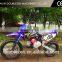125CC Adults Dirt Bike With High Quality