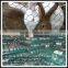 China Anping hot sale agriculture poultry hexagonal wire net for chicken