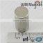 N52 D10 x 6mm Rare earth Neodymium Magnet