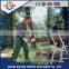 Hot sale portable Gasoline Chain Saw