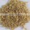 Nutritional Rice/Artificial Rice process line/Nutritional Rice